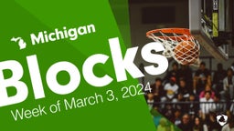 Michigan: Blocks from Week of March 3, 2024