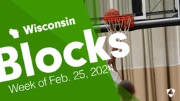 Wisconsin: Blocks from Week of Feb. 25, 2024