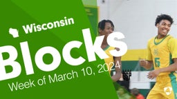Wisconsin: Blocks from Week of March 10, 2024
