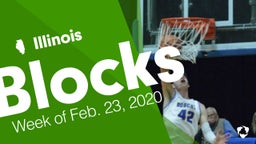 Illinois: Blocks from Week of Feb. 23, 2020