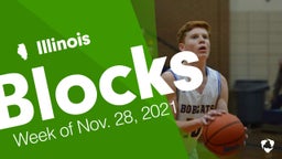Illinois: Blocks from Week of Nov. 28, 2021