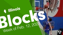 Illinois: Blocks from Week of Feb. 12, 2023