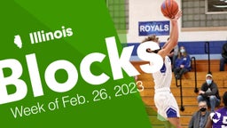 Illinois: Blocks from Week of Feb. 26, 2023