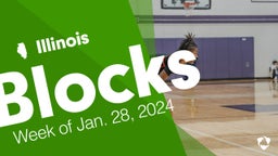 Illinois: Blocks from Week of Jan. 28, 2024