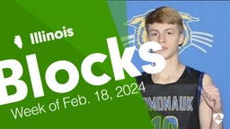 Illinois: Blocks from Week of Feb. 18, 2024