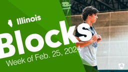 Illinois: Blocks from Week of Feb. 25, 2024