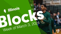 Illinois: Blocks from Week of March 3, 2024