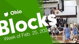 Ohio: Blocks from Week of Feb. 25, 2024