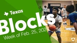 Texas: Blocks from Week of Feb. 25, 2024