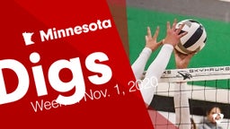 Minnesota: Digs from Week of Nov. 1, 2020