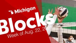 Michigan: Blocks from Week of Aug. 22, 2021