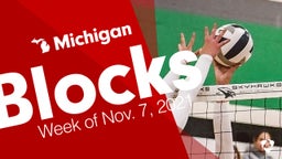 Michigan: Blocks from Week of Nov. 7, 2021