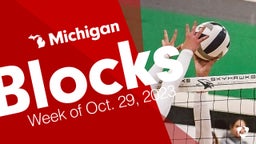 Michigan: Blocks from Week of Oct. 29, 2023
