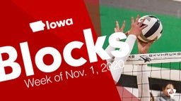 Iowa: Blocks from Week of Nov. 1, 2020