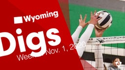 Wyoming: Digs from Week of Nov. 1, 2020