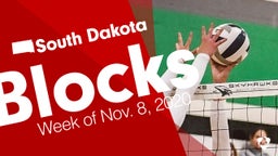 South Dakota: Blocks from Week of Nov. 8, 2020