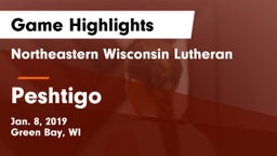 Northeastern Wisconsin Lutheran  vs Peshtigo  Game Highlights - Jan. 8, 2019