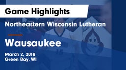 Northeastern Wisconsin Lutheran  vs Wausaukee  Game Highlights - March 2, 2018