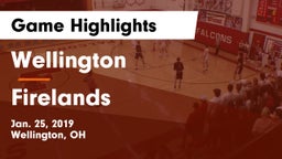 Wellington  vs Firelands  Game Highlights - Jan. 25, 2019