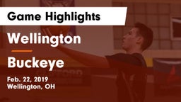 Wellington  vs Buckeye  Game Highlights - Feb. 22, 2019