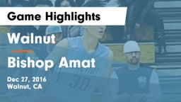 Walnut  vs Bishop Amat  Game Highlights - Dec 27, 2016