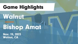 Walnut  vs Bishop Amat  Game Highlights - Nov. 15, 2023