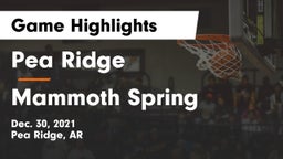 Pea Ridge  vs Mammoth Spring  Game Highlights - Dec. 30, 2021