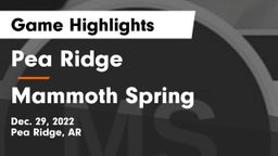 Pea Ridge  vs Mammoth Spring  Game Highlights - Dec. 29, 2022