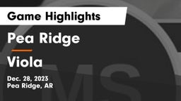 Pea Ridge  vs Viola  Game Highlights - Dec. 28, 2023