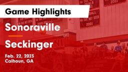 Sonoraville  vs Seckinger  Game Highlights - Feb. 22, 2023