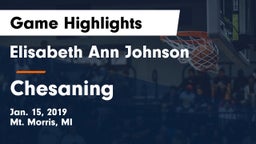 Elisabeth Ann Johnson  vs Chesaning  Game Highlights - Jan. 15, 2019