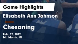 Elisabeth Ann Johnson  vs Chesaning  Game Highlights - Feb. 12, 2019