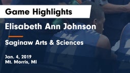 Elisabeth Ann Johnson  vs Saginaw Arts & Sciences Game Highlights - Jan. 4, 2019