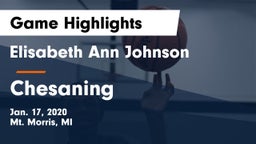 Elisabeth Ann Johnson  vs Chesaning  Game Highlights - Jan. 17, 2020
