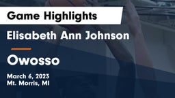 Elisabeth Ann Johnson  vs Owosso Game Highlights - March 6, 2023