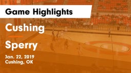 Cushing  vs Sperry  Game Highlights - Jan. 22, 2019