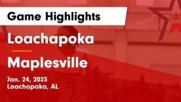 Loachapoka  vs Maplesville  Game Highlights - Jan. 24, 2023
