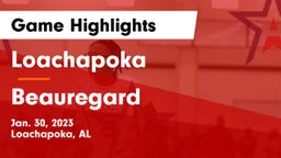 Loachapoka  vs Beauregard  Game Highlights - Jan. 30, 2023