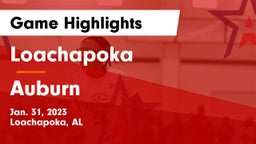 Loachapoka  vs Auburn  Game Highlights - Jan. 31, 2023