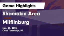 Shamokin Area  vs Mifflinburg  Game Highlights - Jan. 25, 2023