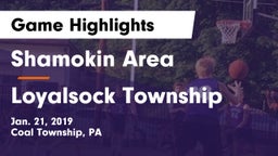 Shamokin Area  vs Loyalsock Township  Game Highlights - Jan. 21, 2019