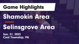 Shamokin Area  vs Selinsgrove Area  Game Highlights - Jan. 31, 2023