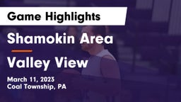 Shamokin Area  vs Valley View  Game Highlights - March 11, 2023