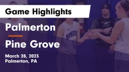 Palmerton  vs Pine Grove  Game Highlights - March 28, 2023