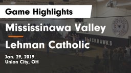 Mississinawa Valley  vs Lehman Catholic  Game Highlights - Jan. 29, 2019