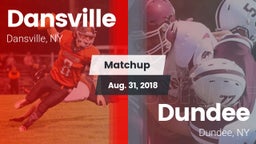 Matchup: Dansville High vs. Dundee  2018