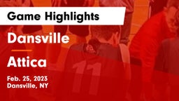 Dansville  vs Attica  Game Highlights - Feb. 25, 2023