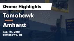 Tomahawk  vs Amherst  Game Highlights - Feb. 27, 2018