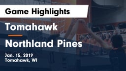 Tomahawk  vs Northland Pines  Game Highlights - Jan. 15, 2019