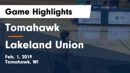 Tomahawk  vs Lakeland Union  Game Highlights - Feb. 1, 2019